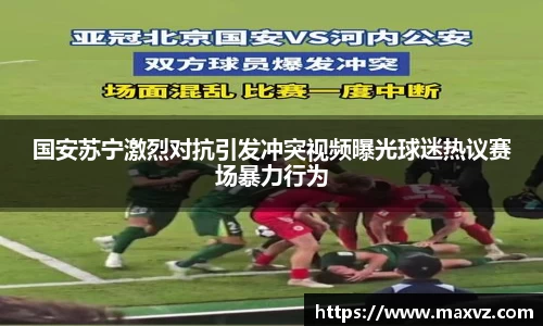 J9国安苏宁激烈对抗引发冲突视频曝光球迷热议赛场暴力行为